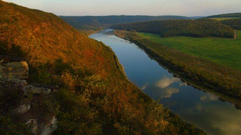 Які річки на Франківщині найбільш забруднені та хто в цьому винен