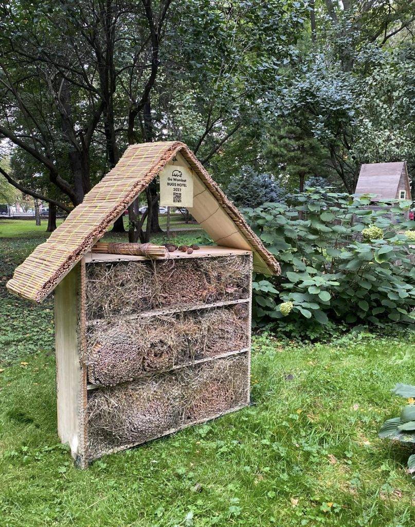 У Франківському парку з'явився будиночок для жуків