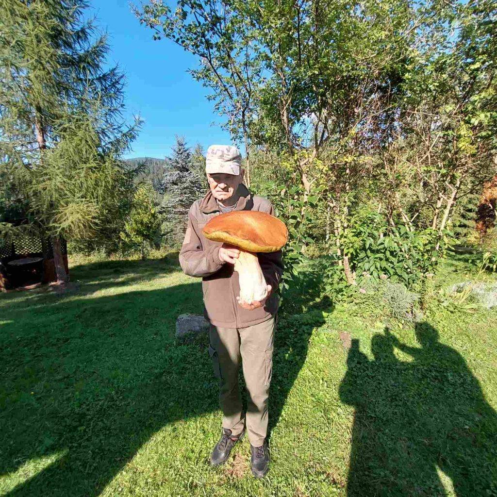Гриб-гігант знайшли на Франківщині: важить три кілограми