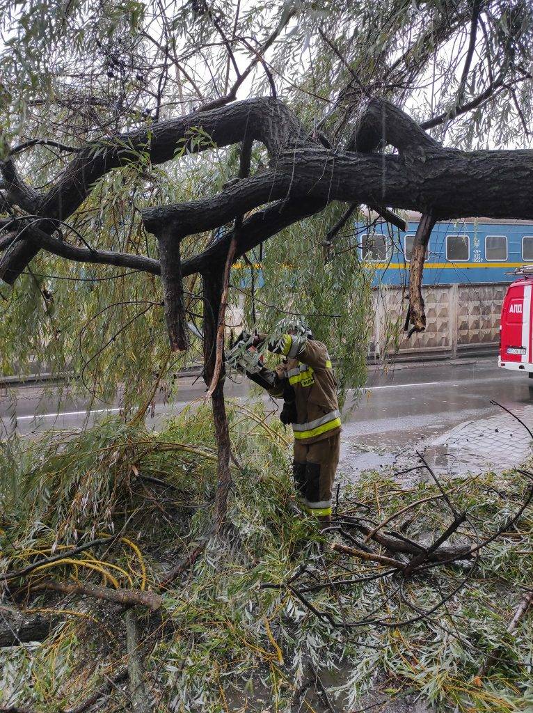 Сильний вітер у Франківську повалив дерево на автомобіль