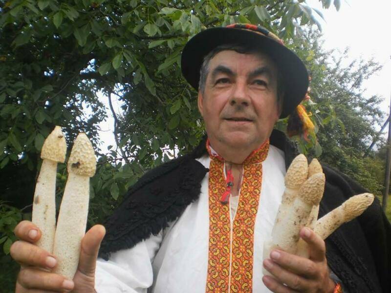 У Карпатах почав дозрівати гриб, схожий на чоловіче достоїнство