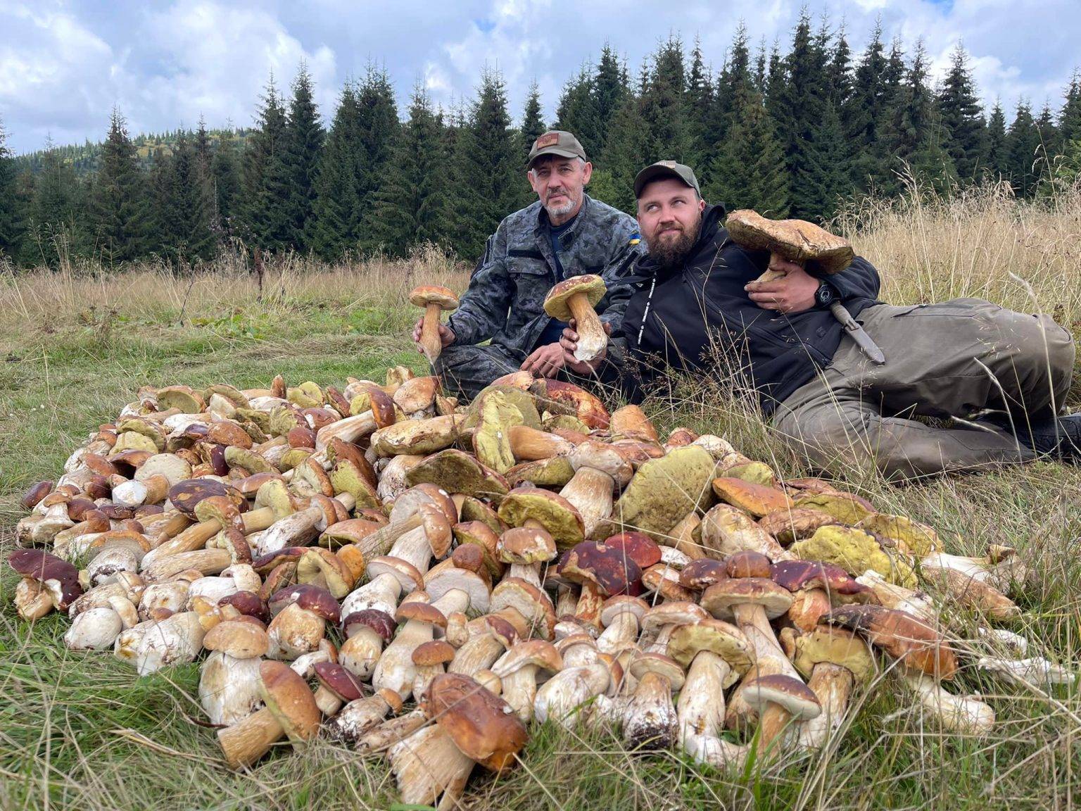 У Карпатах волонтери збирають гриби, аби приготувати супи захисникам