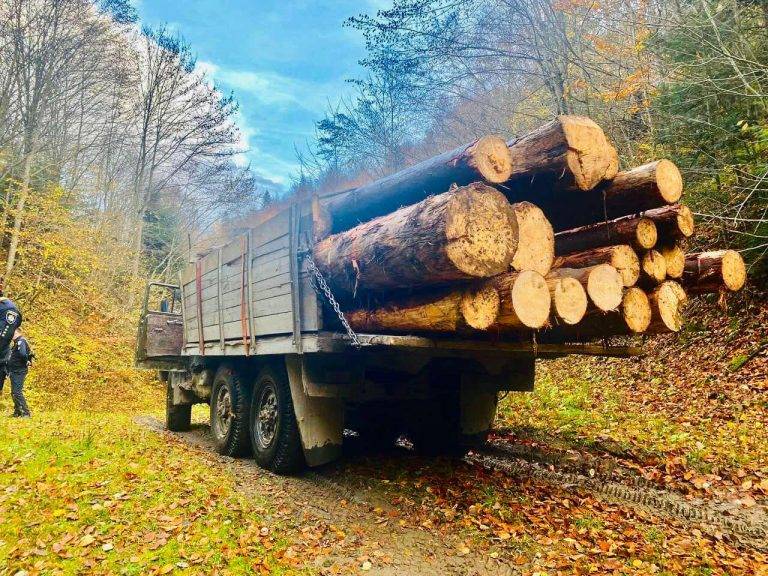 Поліцейські спіймали прикарпатця з вантажівкою краденого лісу