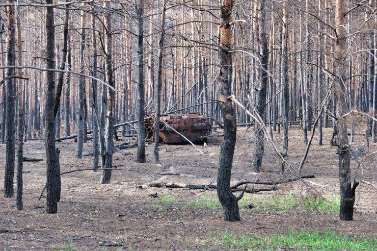 За неділю ЗСУ знищили ворожий літак та вертоліт, декілька складів з боєприпасами та понад 10 районів зосередження живої сили