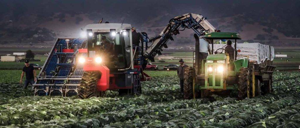 збір урожаю