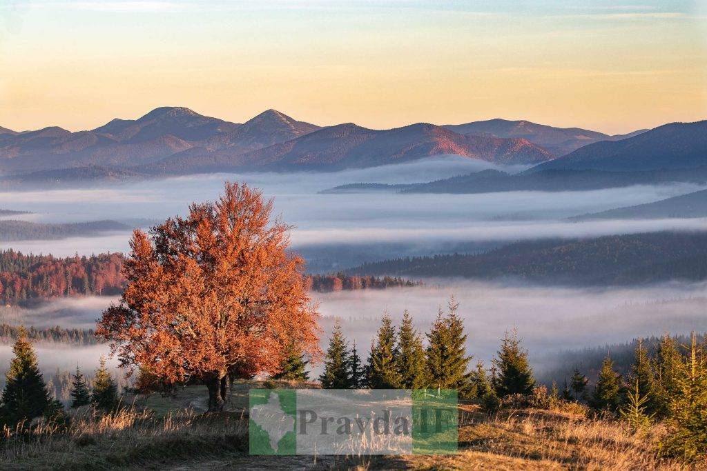 Найгарніші місця Карпат: Хребет Кострич ФОТОРЕПОРТАЖ