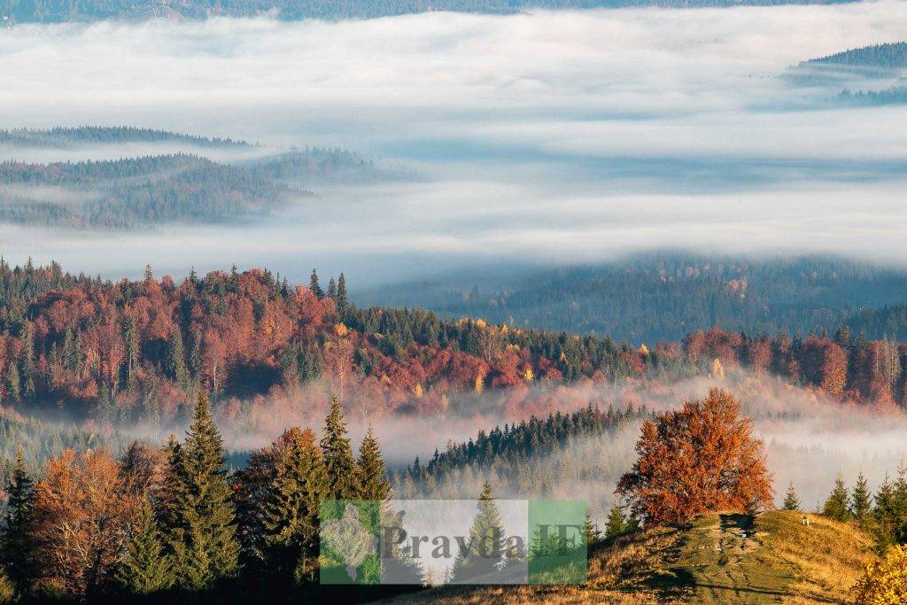 Найгарніші місця Карпат: Хребет Кострич ФОТОРЕПОРТАЖ