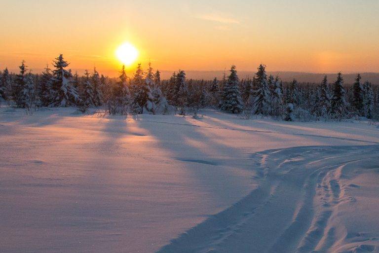 Багато снігу і морози до мінус 20°: прогноз погоди в Україні на найближчі два місяці