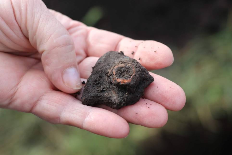 Сенсаційна знахідка: на Франківщині ймовірно виявили найдавніше поселення землеробів