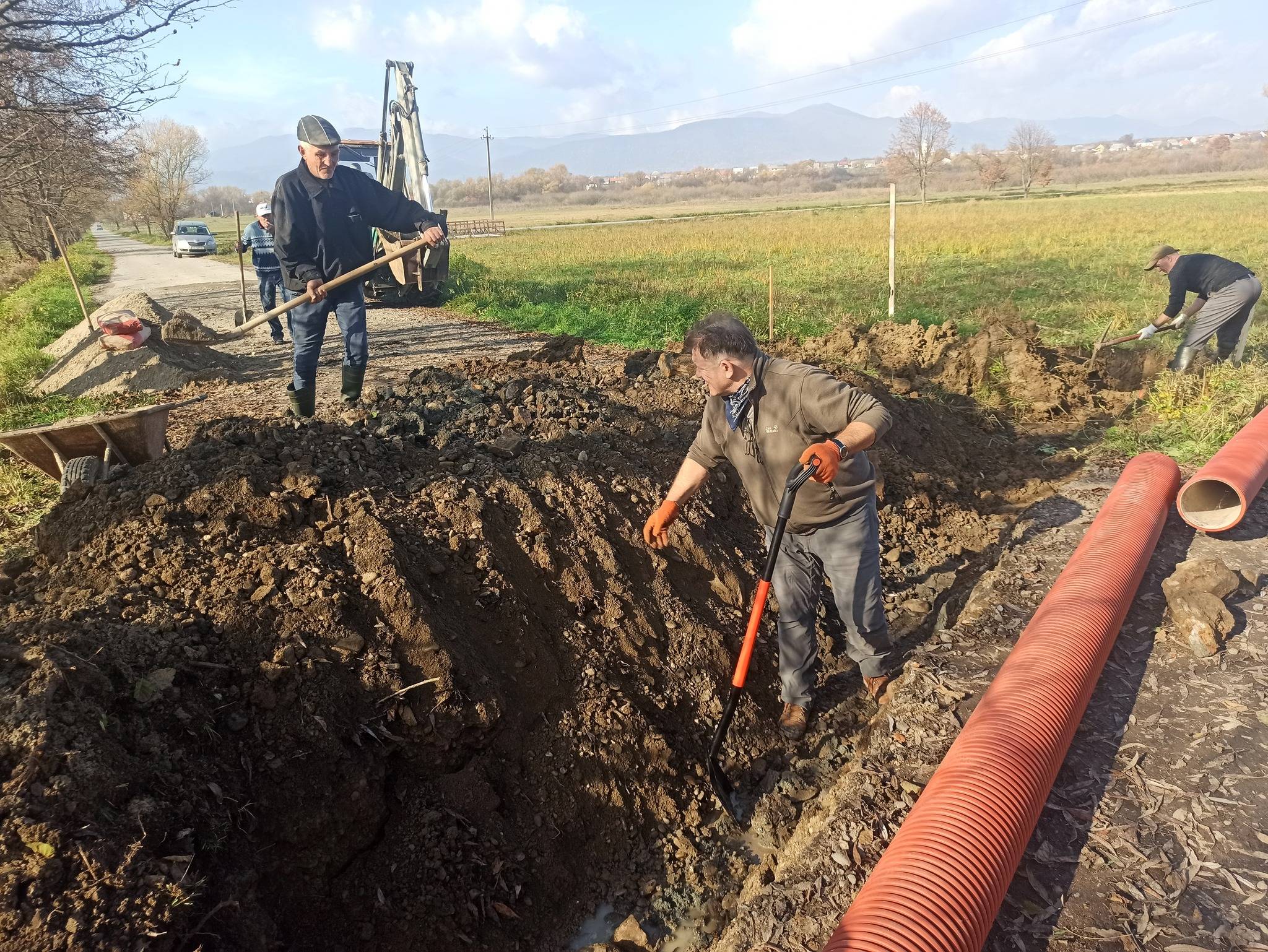 У Карпатському біосферному заповіднику «рятують» Долину нарцисів