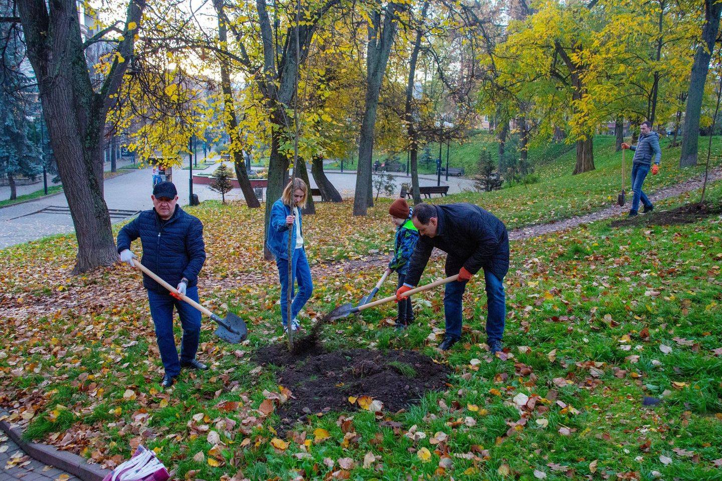 У дворах та вздовж вулиць: у Франківську висадили більше 600 дерев