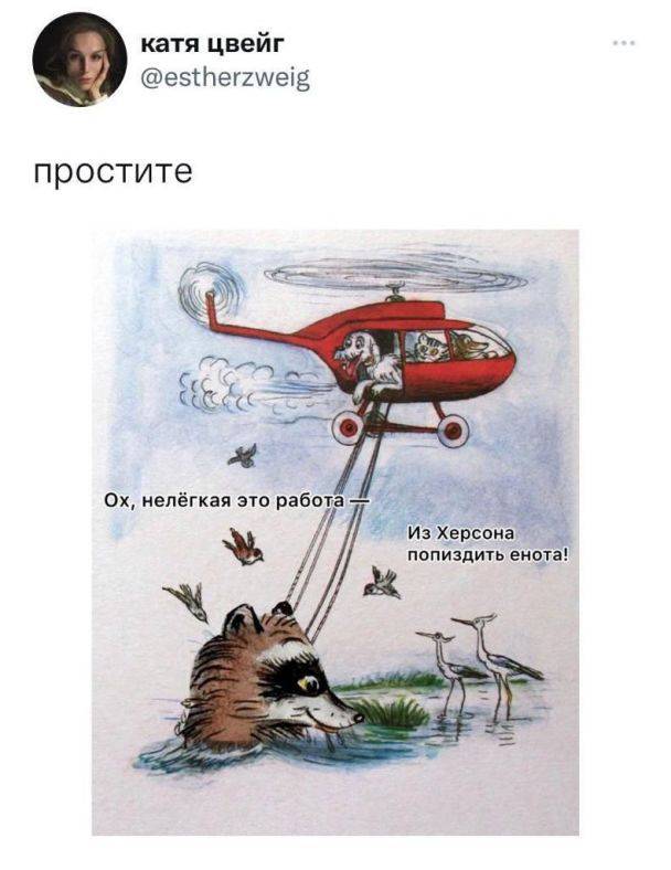 "Медаль за взяття єнота": Мережа вибухнула мемами після викрадення окупантами тварин із зоопарку в Херсоні