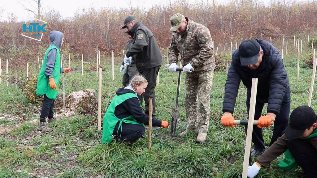 На Франківщині школярі висадили понад 2,5 тисячі саджанців дуба