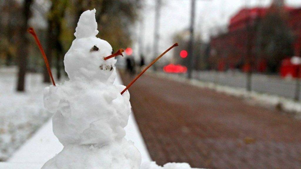 Мокрий сніг, дощ та ожеледь: прогноз погоди в Україні на 24 листопада