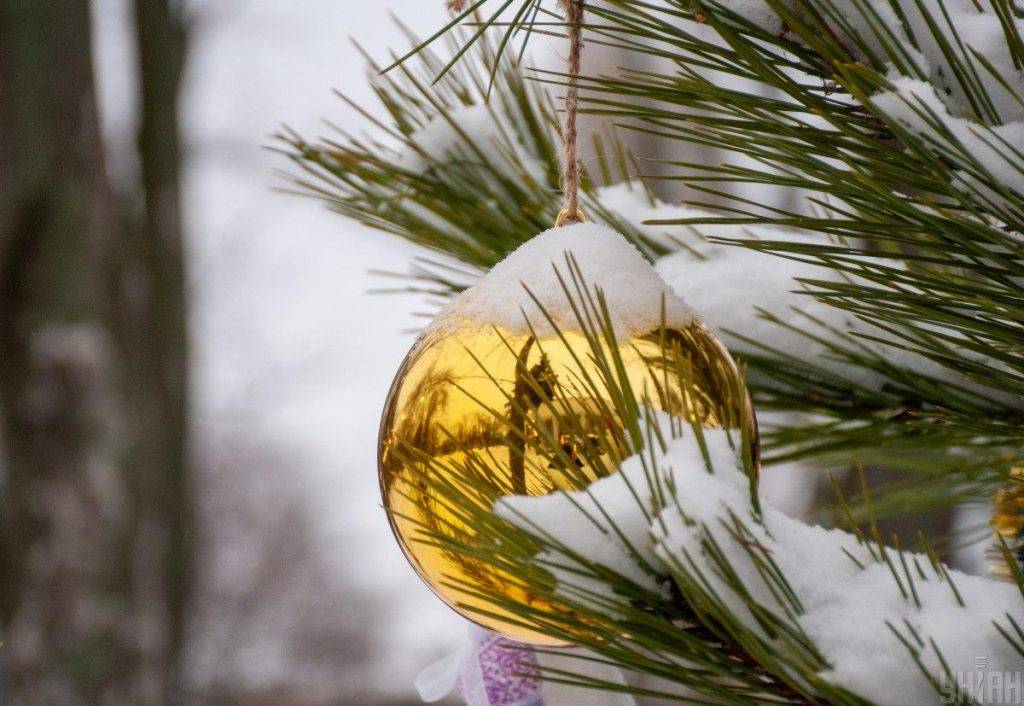 Яку погоду слід чекати прикарпатцям на Новий рік