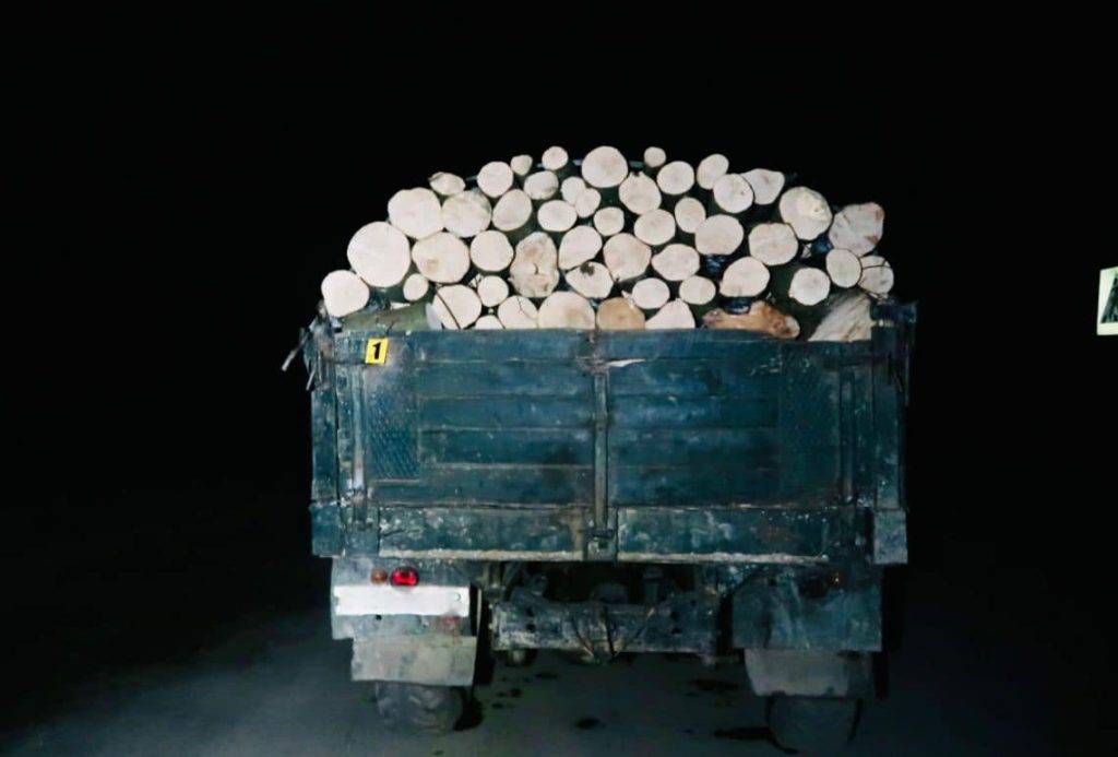Прикарпатські поліцейські затримали 20-річного крадія лісу