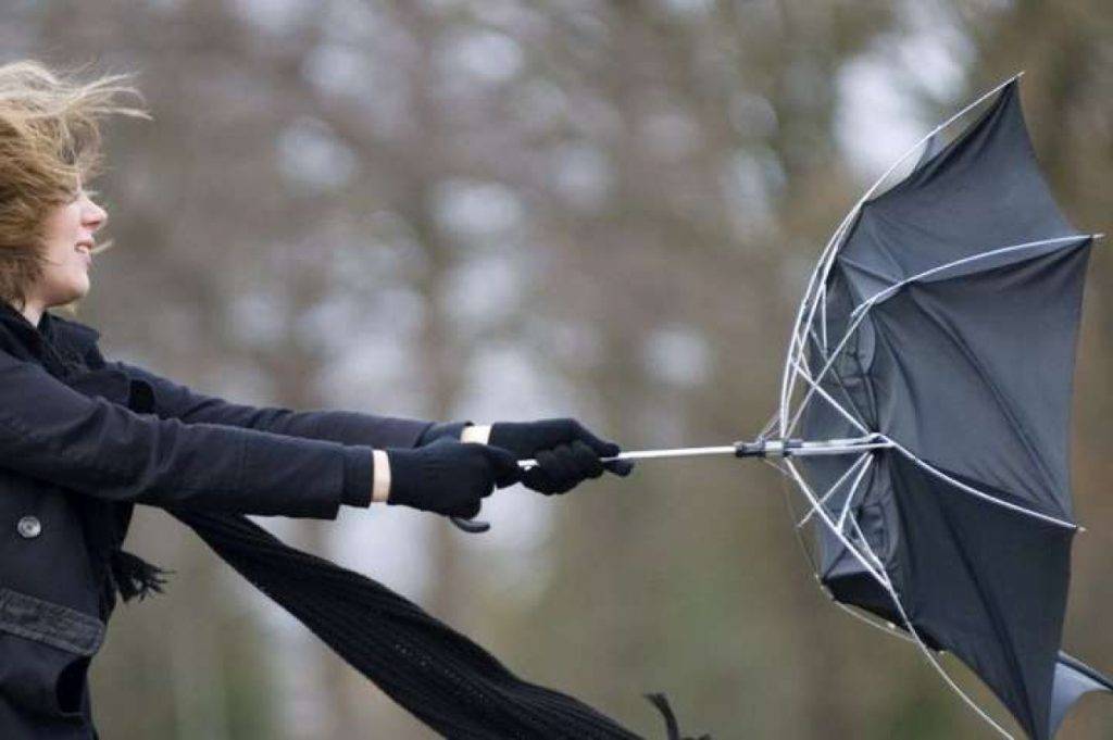 У понеділок на Франківщині буде вітряно