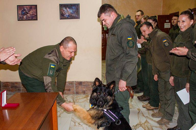 У Франківську нагородили нацгвардійця та вівчарку Лорда за віддану службу