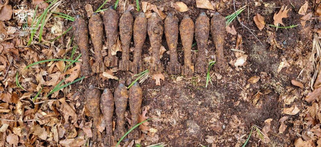 У лісі на Коломийщині знайшли арсенал із 14 застарілих боєприпасів
