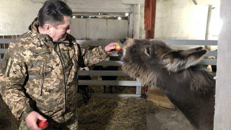 Ферма на Франківщині стала прихистком для понад пів сотні тварин з Донеччини