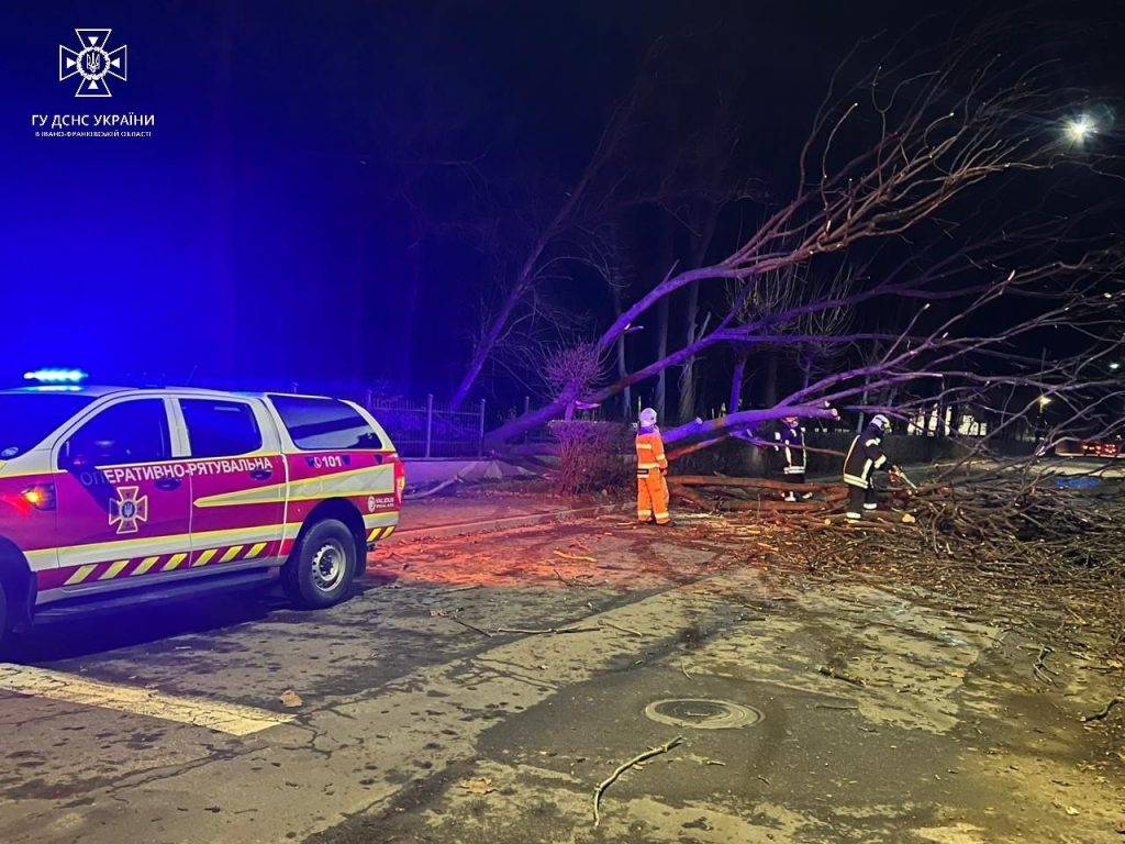На Прикарпатті вітер повалив дерева на дороги
