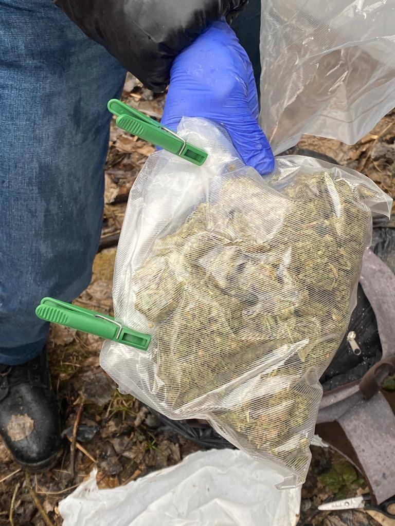 На Прикарпатті вилучили близько 8 кілограмів наркотиків: поліцейські затримали наркоторговця. ФОТО