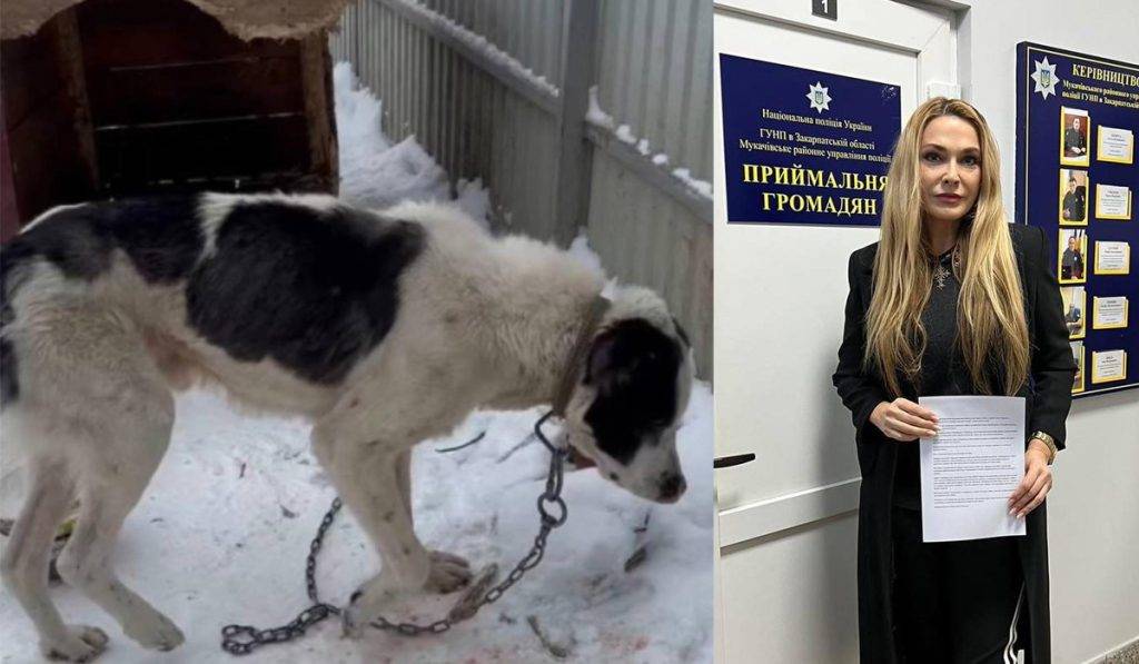 На Франківщині зафіксували жорстоке поводження над собакою: Ольга Сумська подала заяву до поліції