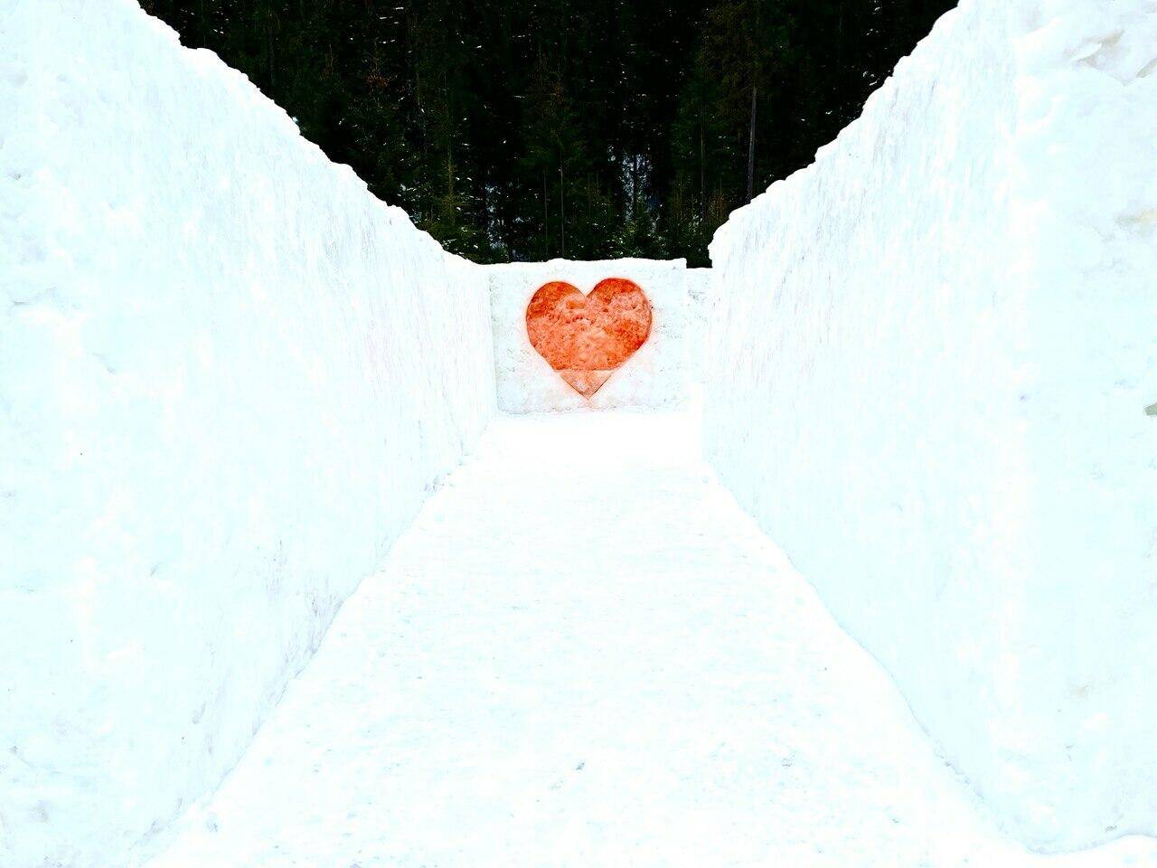 Неподалік Буковелю відкрили перший в Україні сніговий лабіринт,Сніговий лабіринт «Диноляндії Карпати»,Перший в Україні сніговий лабіринт