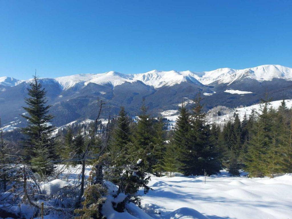 У Карпатах зима ще не планує поступаєтися своїми правами