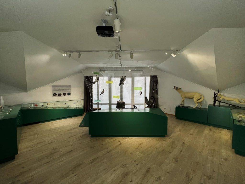 Міністр захисту довкілля та природних ресурсів України Руслан Стрілець,про це повідомив заступник голови Івано-Фракнівської обласної ОВА Віталій Ільчишин,парк верховинський