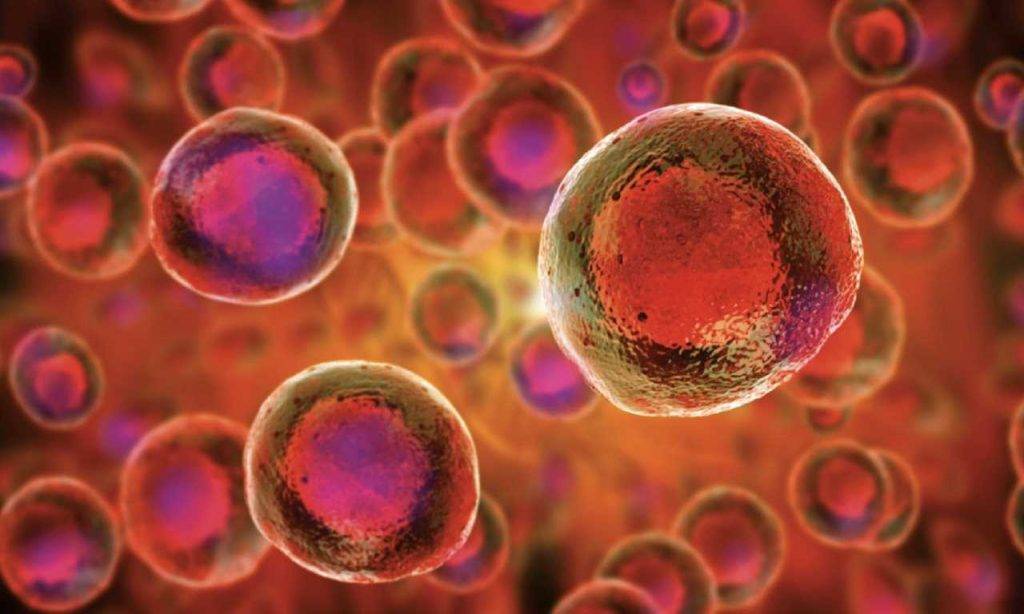 "Другий шанс на життя": студенти ІФНМУ закликають приєднатися до українського реєстру донорів кісткового мозку