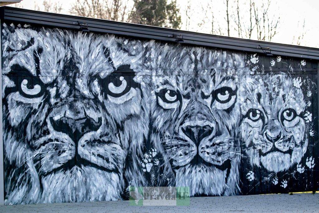 Олені, леви: Кого можна зустріти в Парку історії Землі на Прикарпатті
