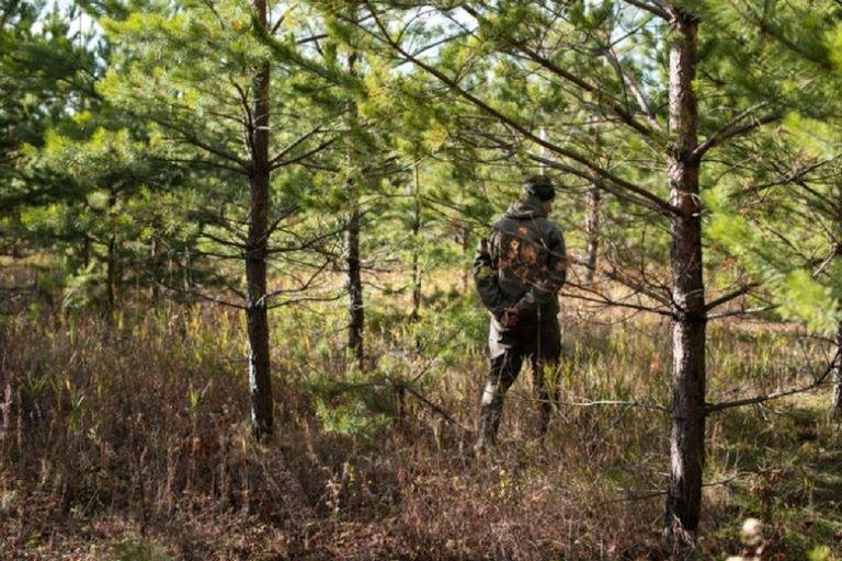 Грибника з Франківщини оштрафували за знайдені у лісі набої