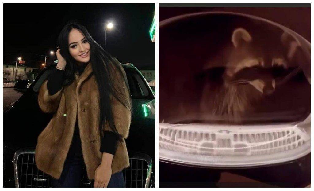 ПОЛІЦІЯ ВІЗЬМЕТЬСЯ ЗА ФРАНКІВКУ, ЯКА “ВИПРАЛА” ЄНОТА У ПРАЛЬНІЙ МАШИНІ