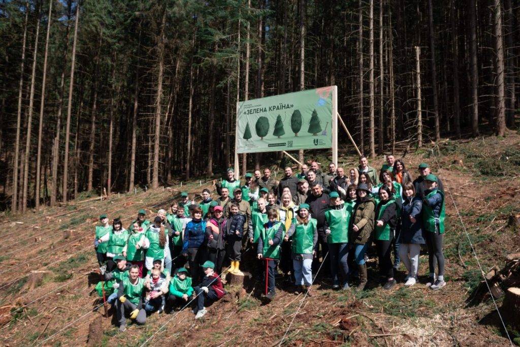 На Прикарпатті переселенці разом з лісівниками висадили 2 тисячі дерев