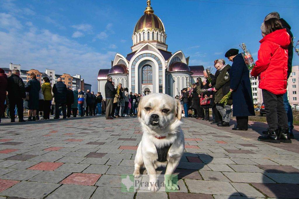 у Вербну неділю,освячення шутки,освячення верби івано-франківськ