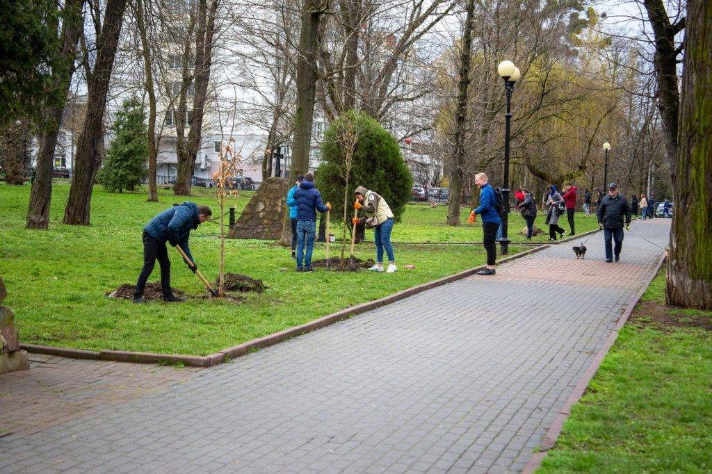 Франківські чиновники влаштували весняну толоку, висадили чотири десятки дерев. ФОТО