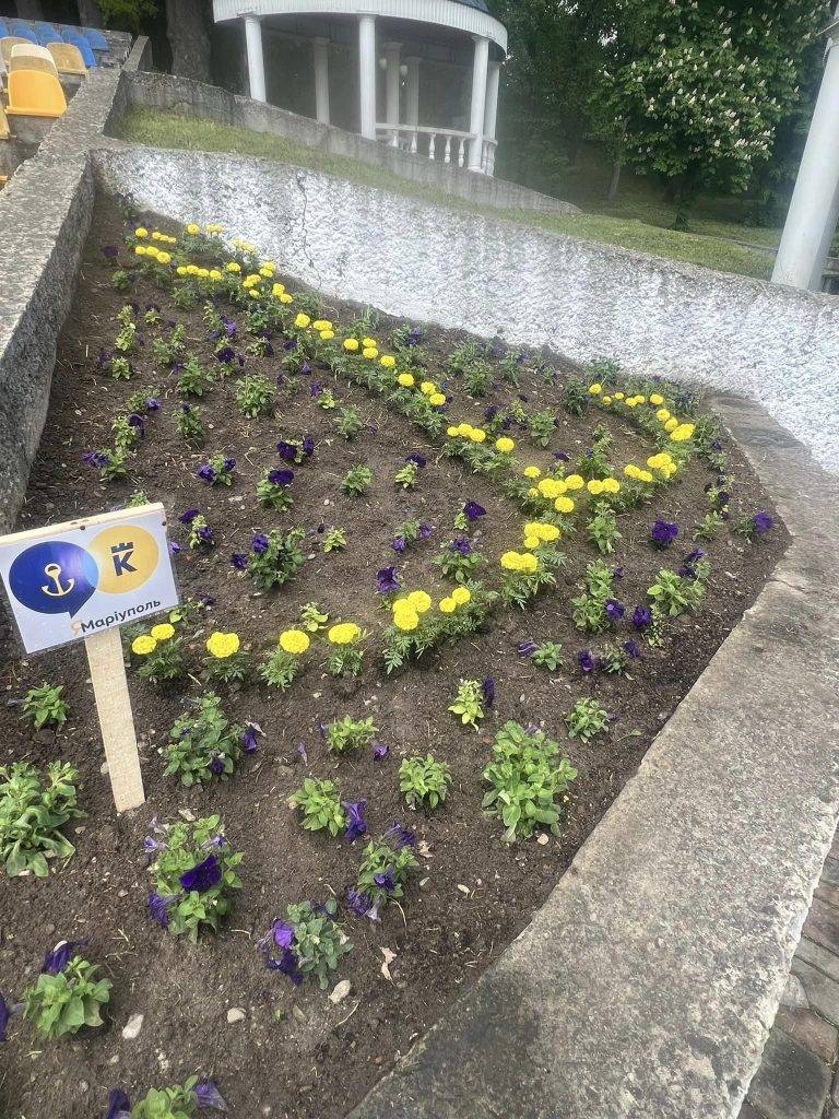 У Калуші в парку з квітів висадили герб Маріуполя
