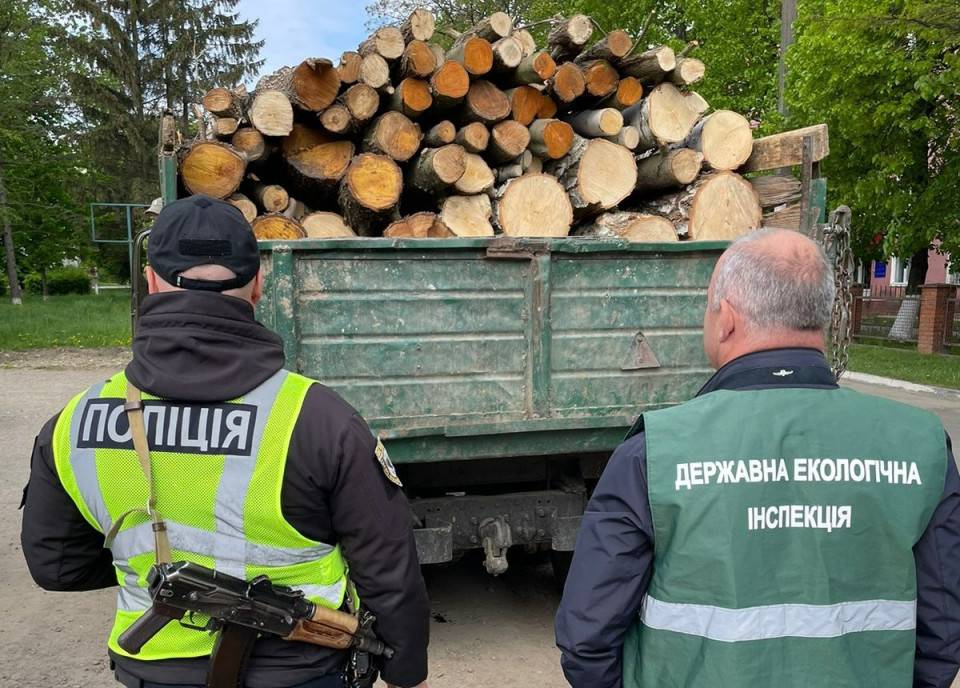 Прикарпатські екоінспектори виявили вантажівку, наповнену нелегальною деревиною