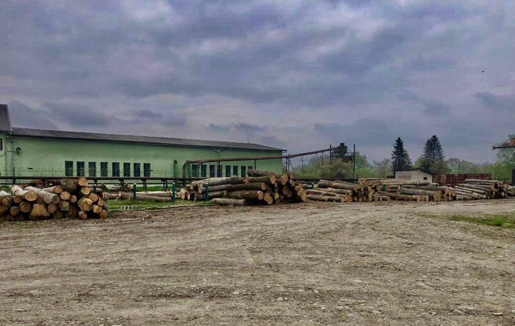 На хабарі спіймали один із керівників «Коломийського лісового господарства». ФОТО