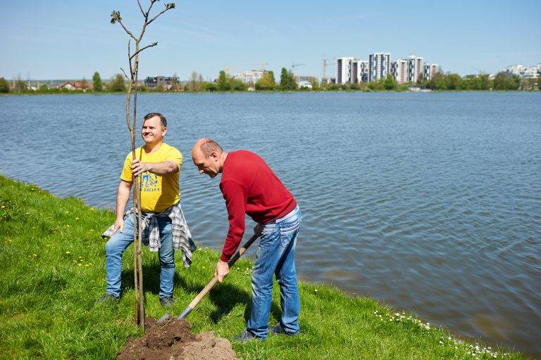 Сьогодні на міському озері разом з гостями міста посадили молоді деревця.