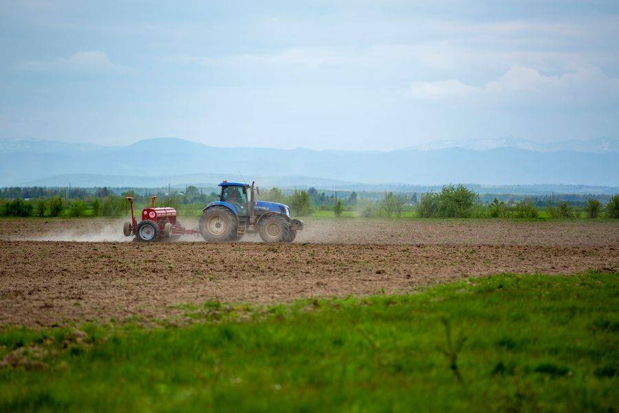 У Івано-Франківській громаді землі засіяли втричі більше, ніж торік