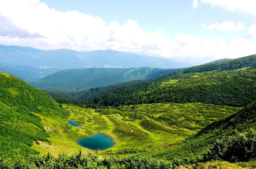 Зеленський доручив розглянути питання створення заказника "Вільний Свидовець"