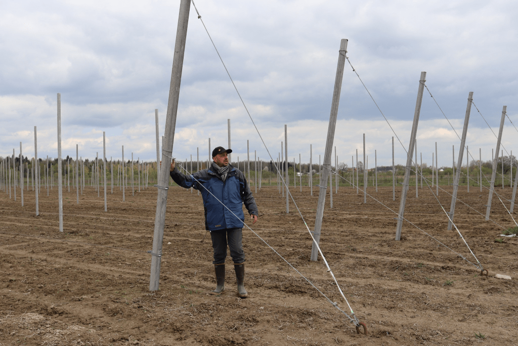 Якісні та органічні: в Солотвинській громаді почали висаджувати фруктові дерева