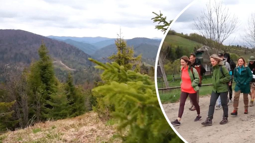 Як Карпати лікують військових від важких спогадів