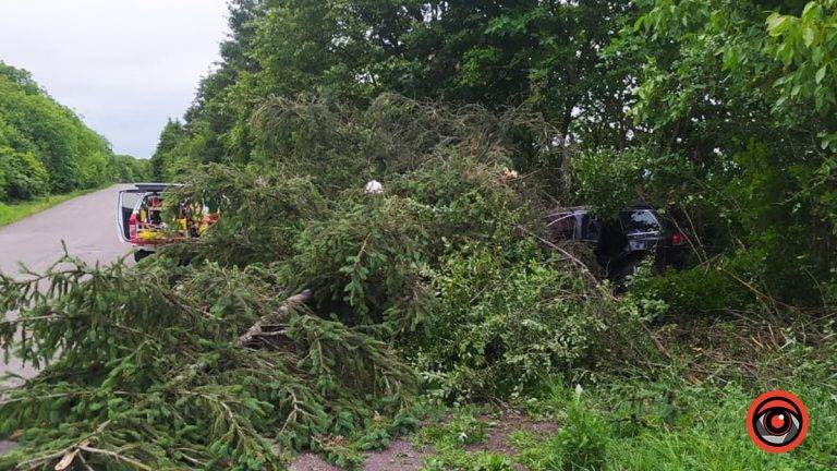 Водій, який скоїв ДТП на Городенківщині, був напідпитку