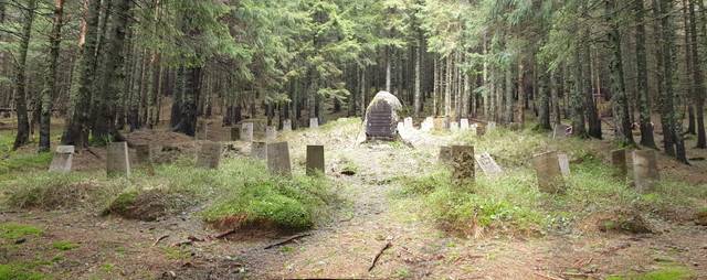 Які таємниці приховує старий німецький цвинтар під Говерлою