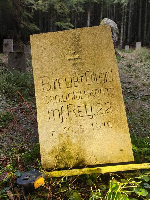 Які таємниці приховує старий німецький цвинтар під Говерлою