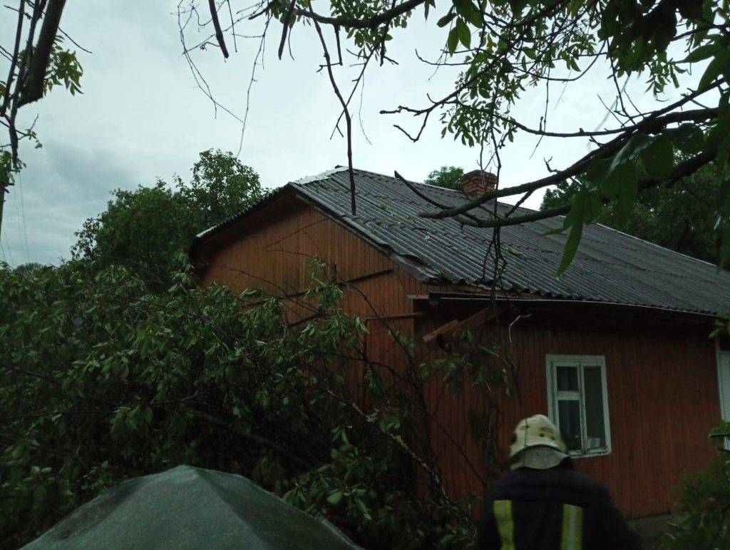 Десятки повалених дерев та вода у підвалах: в Івано-Франківській області ліквідували наслідки вчорашньої негоди