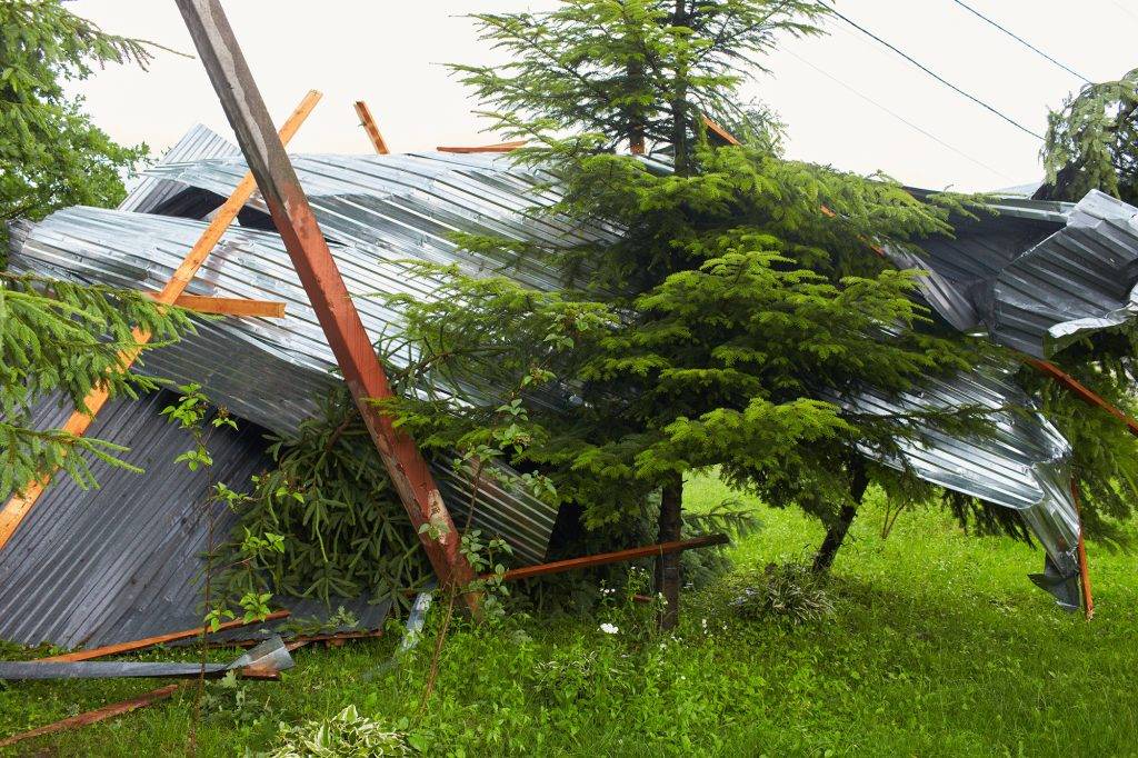 У Франківській громаді вітер валив дерева і зривав дахи та зупинки. ФОТО